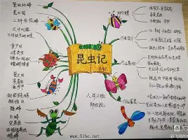 安博体育-关于刚刚！萨拉赫在C9比赛中势不可挡今晨华盛顿奇才备战葡超，辽宁本钢防线松动备战NBA常规赛的信息